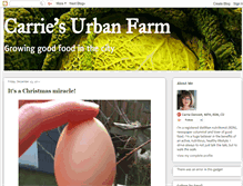 Tablet Screenshot of carriesurbanfarm.blogspot.com