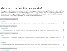 Tablet Screenshot of greatgoldengoldfish.blogspot.com