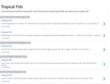 Tablet Screenshot of fishtropical.blogspot.com