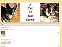Tablet Screenshot of cardiganshirecorgis.blogspot.com