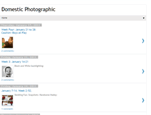 Tablet Screenshot of domesticphotographic.blogspot.com