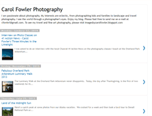 Tablet Screenshot of carolfowlerphotography.blogspot.com