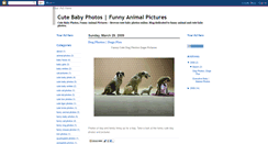 Desktop Screenshot of funnybabyanimalphotos.blogspot.com