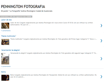 Tablet Screenshot of pennington-andrea.blogspot.com