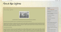 Desktop Screenshot of floradebajacalifornia.blogspot.com