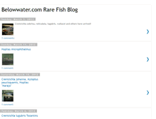 Tablet Screenshot of belowwaterfish.blogspot.com