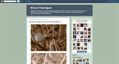 Desktop Screenshot of birdsofchandigarh.blogspot.com