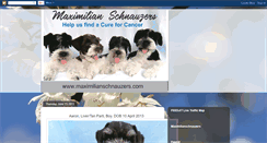Desktop Screenshot of maximilian-schnauzers.blogspot.com