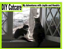 Tablet Screenshot of diycatcare.blogspot.com