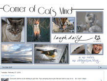 Tablet Screenshot of cornerofcatsmind.blogspot.com
