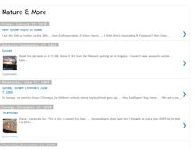 Tablet Screenshot of naturenmore.blogspot.com