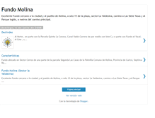 Tablet Screenshot of fundomolina.blogspot.com