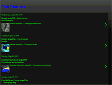 Tablet Screenshot of fish-pictures-fish-images.blogspot.com