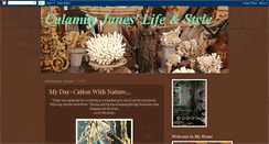 Desktop Screenshot of calamityjaneslifestyle.blogspot.com