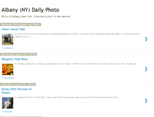 Tablet Screenshot of albanynydailyphoto.blogspot.com