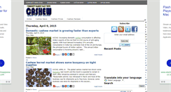 Desktop Screenshot of cashewnews.blogspot.com