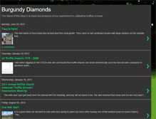 Tablet Screenshot of burgundydiamonds.blogspot.com