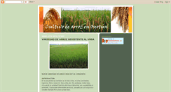Desktop Screenshot of cultivodearrozenoyotun.blogspot.com
