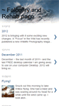 Mobile Screenshot of afocusinthewildfalconry.blogspot.com