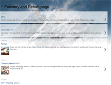 Tablet Screenshot of afocusinthewildfalconry.blogspot.com