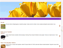 Tablet Screenshot of binbircesitcicek.blogspot.com