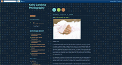 Desktop Screenshot of kellycardonaphotography.blogspot.com