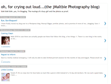 Tablet Screenshot of jaynemaltbie.blogspot.com