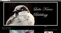 Desktop Screenshot of lagunaphoto.blogspot.com
