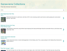 Tablet Screenshot of koleksisansevieria.blogspot.com
