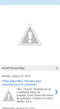 Mobile Screenshot of burnettair.blogspot.com