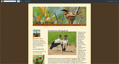 Desktop Screenshot of birdingbrazil.blogspot.com