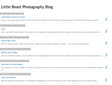 Tablet Screenshot of littlebeastphotography.blogspot.com