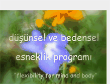 Tablet Screenshot of esneklikprogrami.blogspot.com