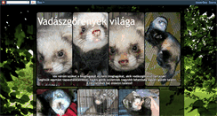 Desktop Screenshot of monessa-vadaszgoreny.blogspot.com