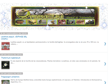 Tablet Screenshot of fernatura.blogspot.com