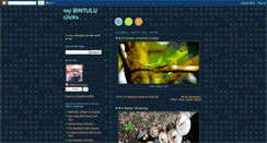 Desktop Screenshot of mybintuluclicks.blogspot.com