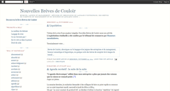 Desktop Screenshot of nouvellesbrevesdecouloir.blogspot.com