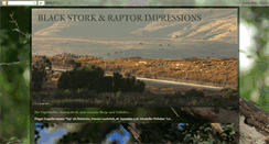 Desktop Screenshot of blackstorknotes.blogspot.com