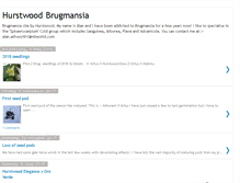 Tablet Screenshot of hurstwoodbrugmansia.blogspot.com