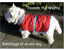 Tablet Screenshot of hamishthewestie.blogspot.com