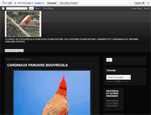 Tablet Screenshot of bouvreuilsponceaux.blogspot.com
