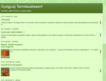 Tablet Screenshot of holisztikusgyogyulas.blogspot.com