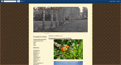 Desktop Screenshot of lailasfoto.blogspot.com