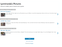 Tablet Screenshot of lynmiranda-pictures.blogspot.com
