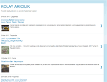 Tablet Screenshot of kolayaricilik.blogspot.com