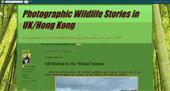 Desktop Screenshot of hongkongkwildlifephotos.blogspot.com