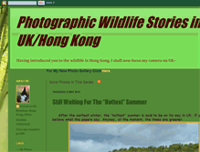 Tablet Screenshot of hongkongkwildlifephotos.blogspot.com