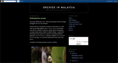 Desktop Screenshot of orkidofmalaysia.blogspot.com