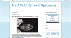 Desktop Screenshot of nycmoldremoval.blogspot.com