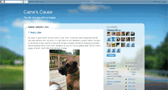 Desktop Screenshot of cainescause.blogspot.com